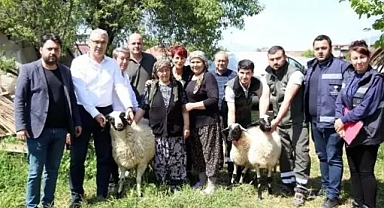 Başkan Çerçioğlu’ndan Koyunları Telef Olan Üretici Kadına Destek