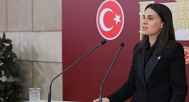 “İktidar Ormanların Korunmasına Yönelik Yeterli Bütçe Ayırmamaktadır”