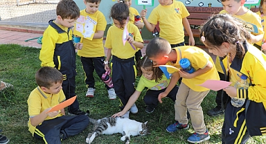 “Bizim İçin Bir Dost Besler Misin”