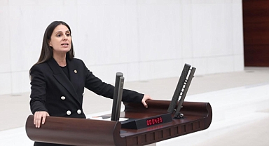 “Binlerce Dönüm Arazinin Orman Arazisi Olmaktan Çıkarılması Yeni Bir Rant Planı Mı?”