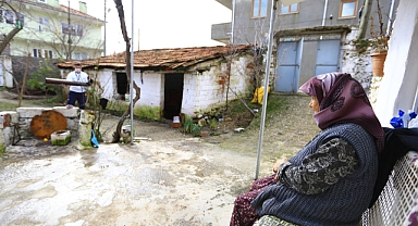 Büyükşehir Kırsaldaki Çınarların Yanında