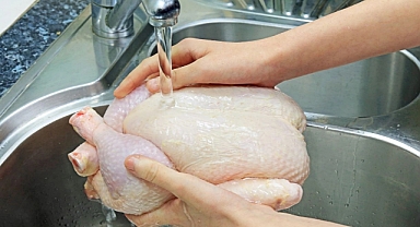 Salmonella Riski