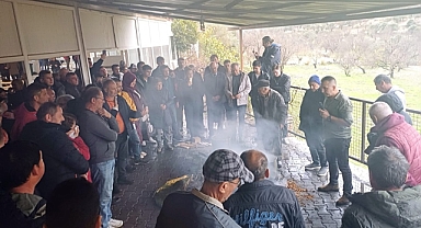 Büyükşehir’den Badem Biti ve Zeytin Zararlılarıyla Mücadele