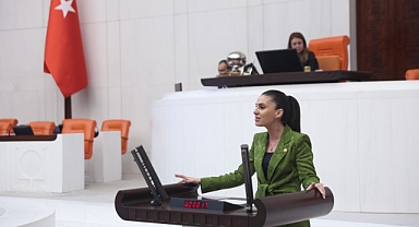 “2024’te Narenciye Üretimi Düştü, Üretici Mağdur Oldu”