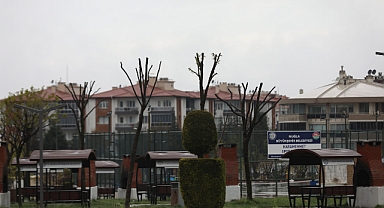 Muğla’da Ağaçlara Gençlik Aşısı: Hem Doğa Hem Güvenlik İçin Budama