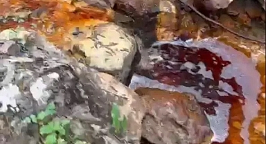 Güzelyurt’ta Dere Kan Rengi Akıyor