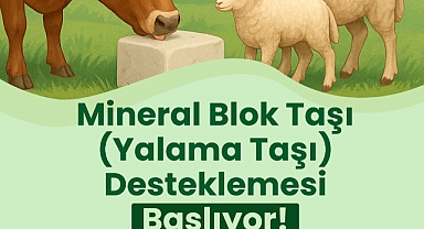 Büyükşehir’den Hayvan Sağlığını Düşünen Destek