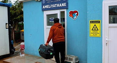 Didim Belediyesi’nden Can Dostlara Sevgiyle Hizmet